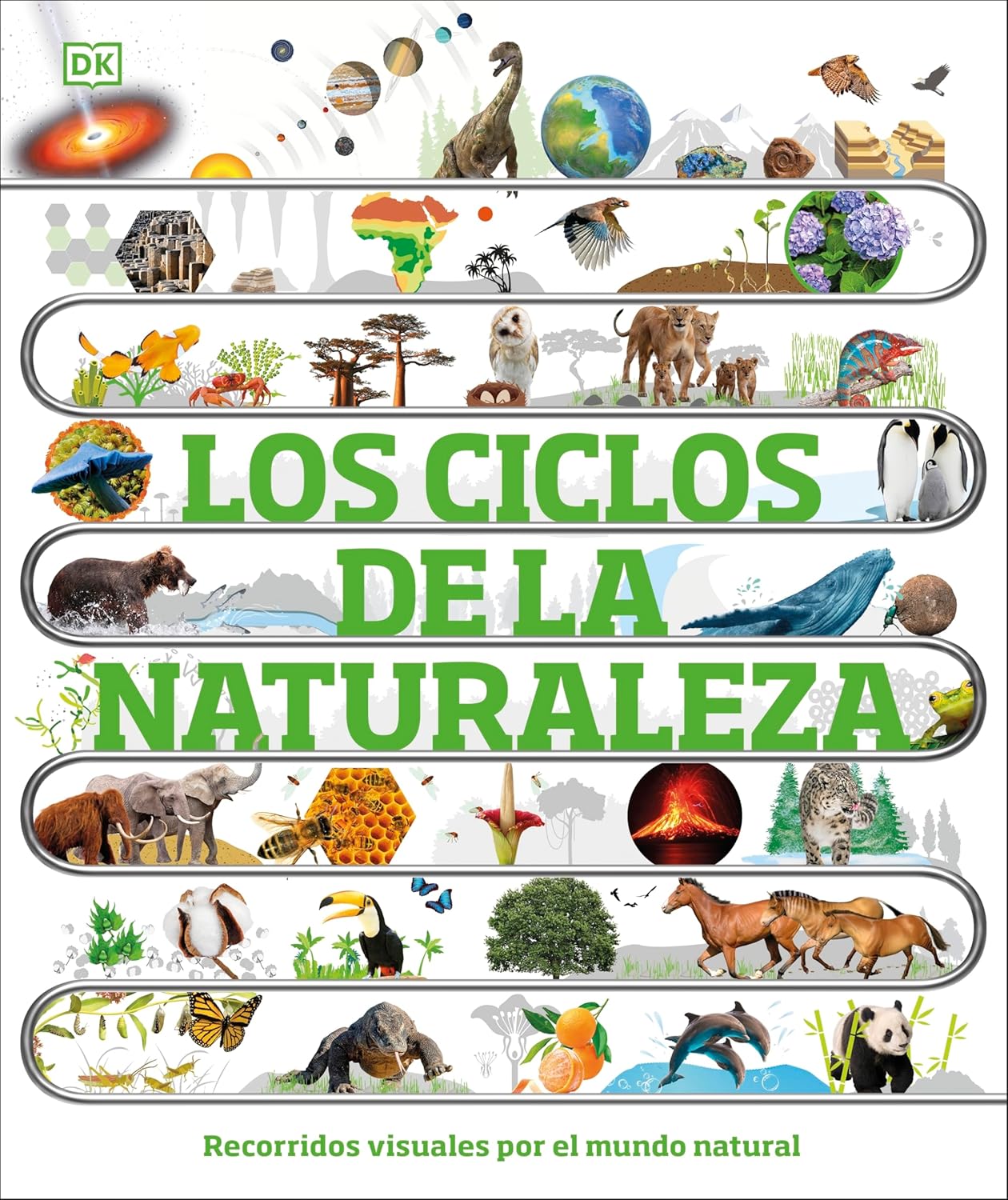 Libro educativo sobre los ciclos naturales del planeta